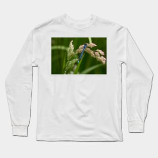 Common Blue Damselfly Long Sleeve T-Shirt